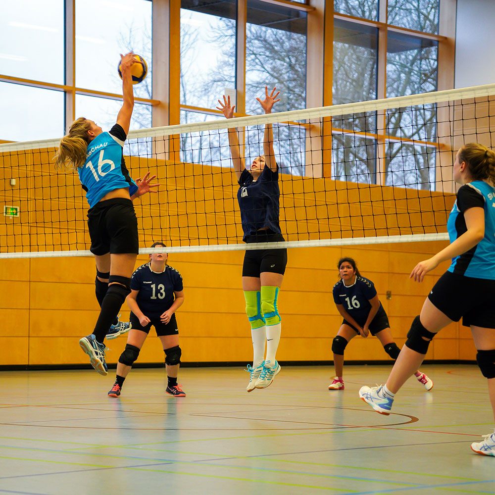 SVA Volleyball